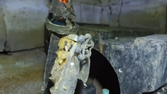 Corroded copper water pipe cut open to show internal buildup