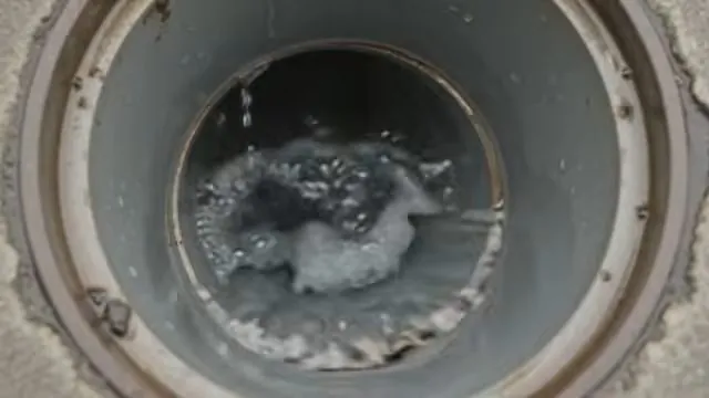 High-pressure hydro jetting hose fed into a sewer cleanout