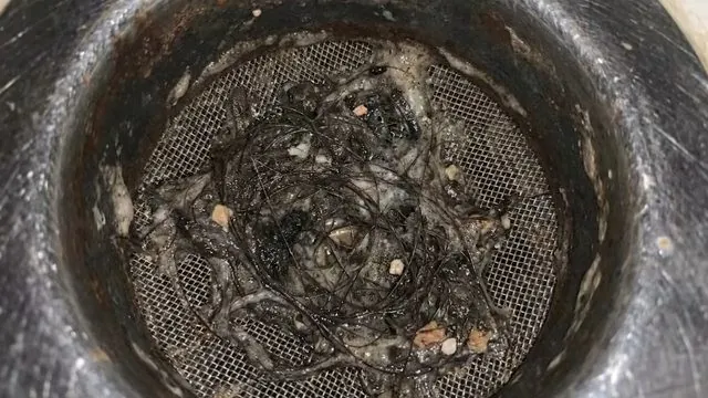 Hardened grease clog inside a kitchen drain pipe
