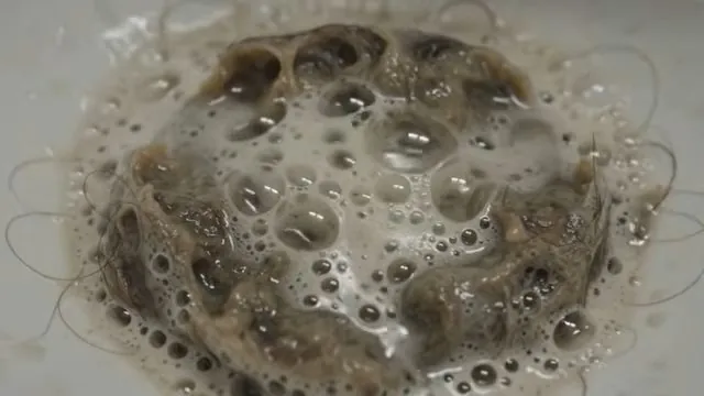 Hair clog caught in a sink strainer